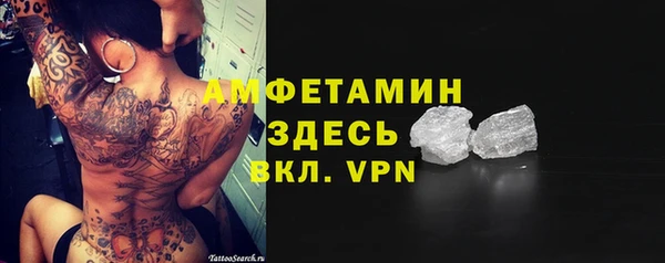 молекула духа Бородино