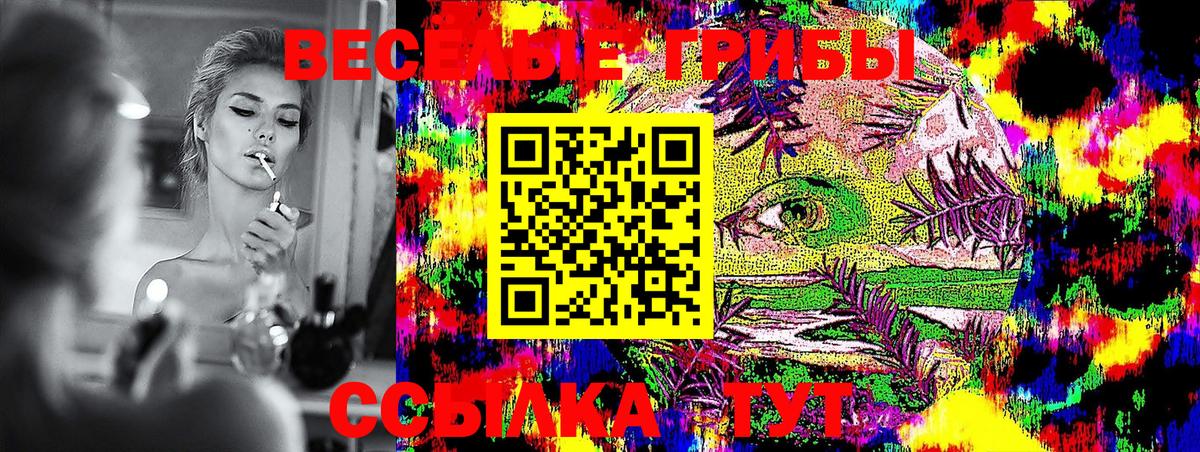 Обь  Псилоцибиновые грибы Cubensis  Псилоцибиновые грибы Cubensis  Вход с VPN 